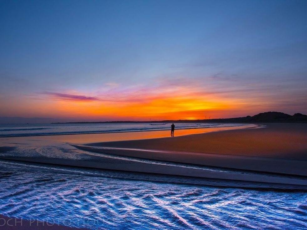 Pew With A View - Seafront Cottages Sandhaven 外观 照片